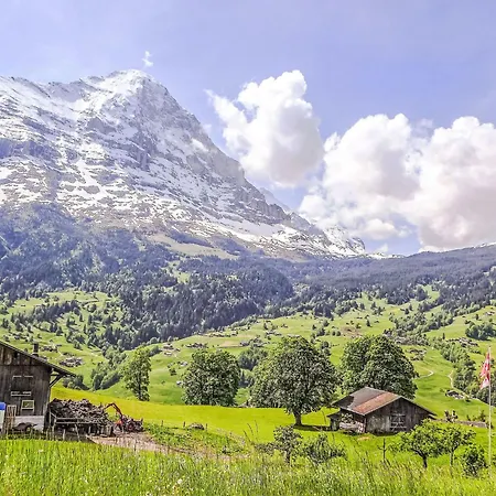 Jolimont-1 By Interhome Apartament Grindelwald