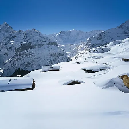 Apartament Jolimont-1 By Interhome Grindelwald