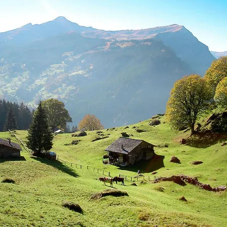 Appartamento Jolimont-1 By Interhome