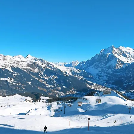 Apartament Jolimont-1 By Interhome Grindelwald
