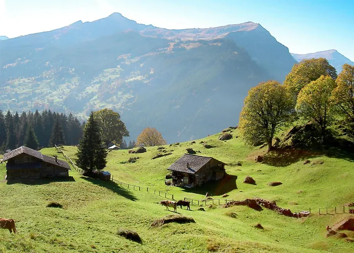 Апартаменты Jolimont-1 By Interhome